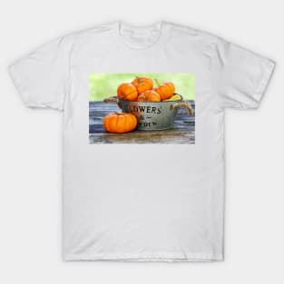 Squashes in a basket T-Shirt